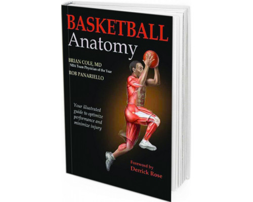 2016 - Basketball Anatomy
