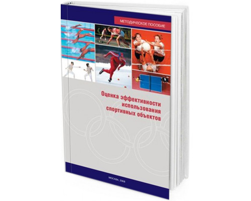 2008 - Оценка эффективности использования спортивных объектов