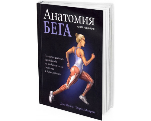 2019 - Анатомия бега